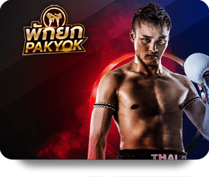 VF555 Live Dealer Hot Game Strategies to Maximize Winnings